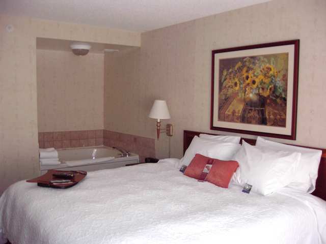 Hampton Inn East Aurora Pokoj fotografie